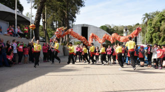 Foto da apresentação da dança do dragão. Sete pessoas segurando um dragão colorido e andando.